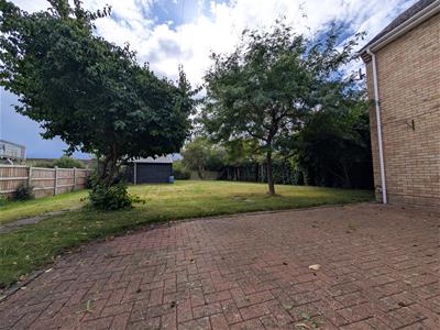 Picture 15